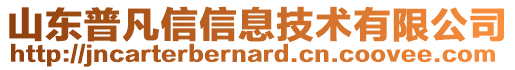 山東普凡信信息技術(shù)有限公司