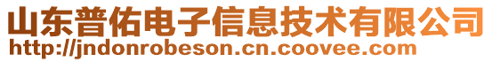 山東普佑電子信息技術(shù)有限公司