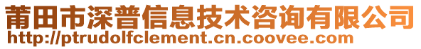 莆田市深普信息技術(shù)咨詢有限公司