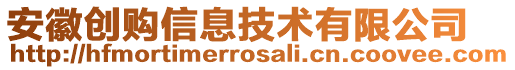 安徽創(chuàng)購信息技術(shù)有限公司