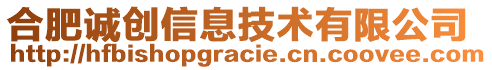 合肥誠(chéng)創(chuàng)信息技術(shù)有限公司