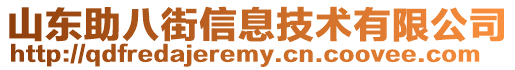 山東助八街信息技術有限公司