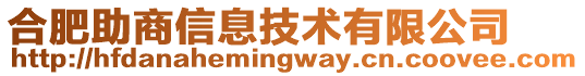 合肥助商信息技術(shù)有限公司