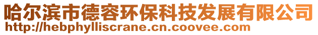 哈爾濱市德容環(huán)?？萍及l(fā)展有限公司