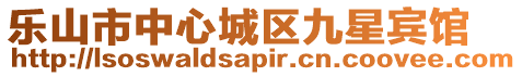 樂山市中心城區九星賓館