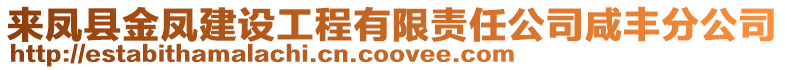 來鳳縣金鳳建設工程有限責任公司咸豐分公司