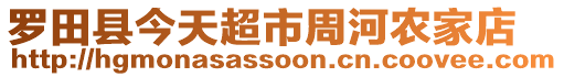 羅田縣今天超市周河農(nóng)家店