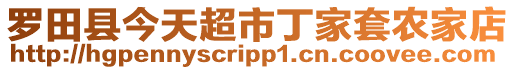 羅田縣今天超市丁家套農(nóng)家店