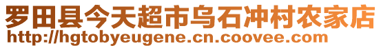 羅田縣今天超市烏石沖村農(nóng)家店