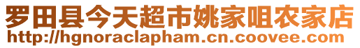 羅田縣今天超市姚家咀農家店
