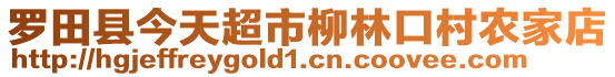 羅田縣今天超市柳林口村農家店