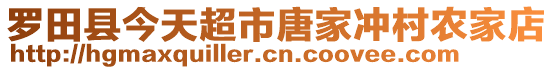 羅田縣今天超市唐家沖村農(nóng)家店