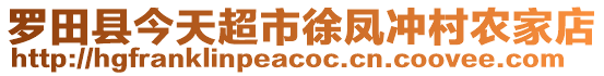 羅田縣今天超市徐鳳沖村農(nóng)家店