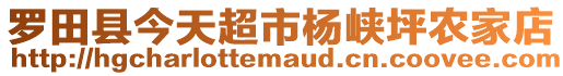 羅田縣今天超市楊峽坪農(nóng)家店