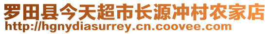 羅田縣今天超市長源沖村農(nóng)家店