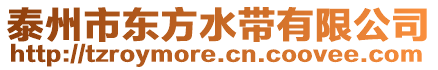 泰州市東方水帶有限公司