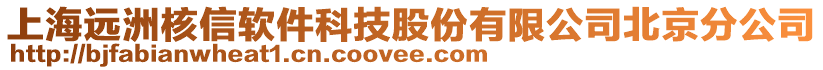 上海遠(yuǎn)洲核信軟件科技股份有限公司北京分公司