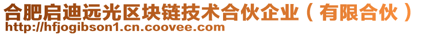 合肥啟迪遠(yuǎn)光區(qū)塊鏈技術(shù)合伙企業(yè)（有限合伙）