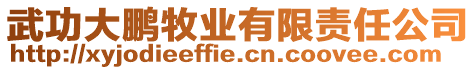 武功大鵬牧業(yè)有限責(zé)任公司