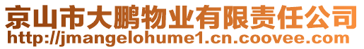 京山市大鵬物業(yè)有限責任公司