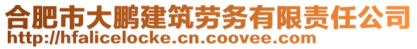 合肥市大鵬建筑勞務(wù)有限責(zé)任公司