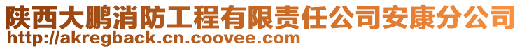 陜西大鵬消防工程有限責任公司安康分公司
