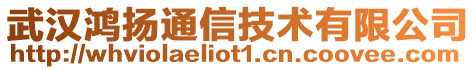 武漢鴻揚通信技術有限公司