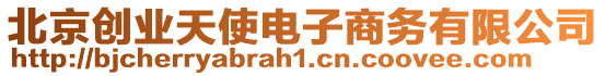 北京創(chuàng)業(yè)天使電子商務(wù)有限公司