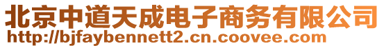 北京中道天成電子商務有限公司