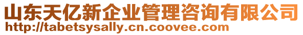 山東天億新企業(yè)管理咨詢有限公司