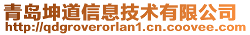 青島坤道信息技術(shù)有限公司