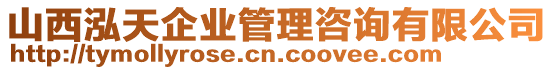 山西泓天企業(yè)管理咨詢有限公司