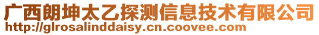 廣西朗坤太乙探測信息技術有限公司