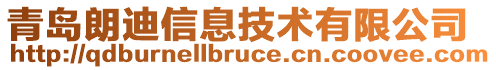 青島朗迪信息技術(shù)有限公司