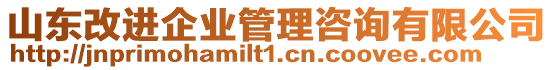 山東改進企業管理咨詢有限公司