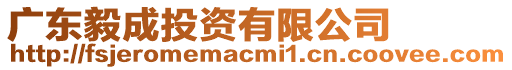 廣東毅成投資有限公司