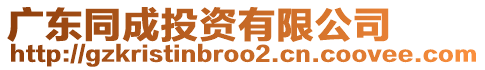 廣東同成投資有限公司