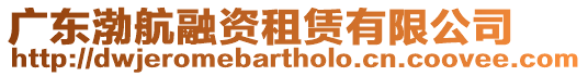 廣東渤航融資租賃有限公司