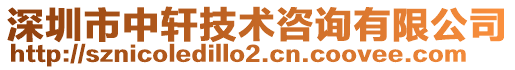 深圳市中軒技術咨詢有限公司