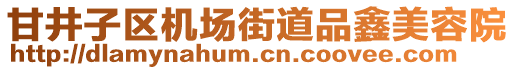 甘井子區機場街道品鑫美容院