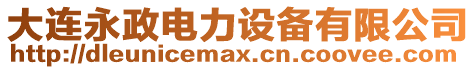大連永政電力設備有限公司