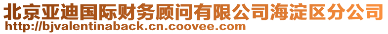 北京亞迪國際財務顧問有限公司海淀區分公司