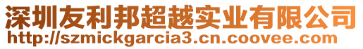 深圳友利邦超越實業有限公司