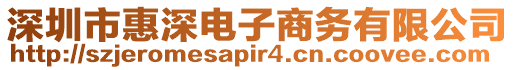 深圳市惠深電子商務有限公司