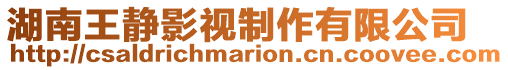 湖南王靜影視制作有限公司