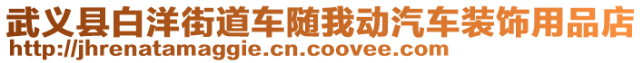 武義縣白洋街道車隨我動汽車裝飾用品店