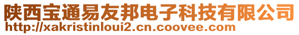 陜西寶通易友邦電子科技有限公司