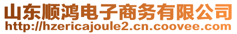 山東順鴻電子商務(wù)有限公司