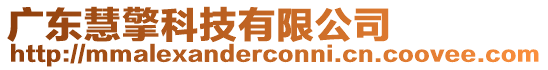 廣東慧擎科技有限公司