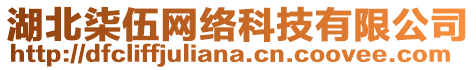 湖北柒伍網絡科技有限公司
